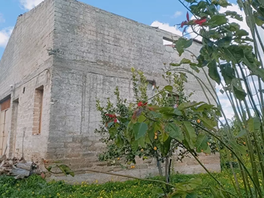 Immagine 3 di Terreno agricolo in vendita  in Contrada Monasteri a Siracusa