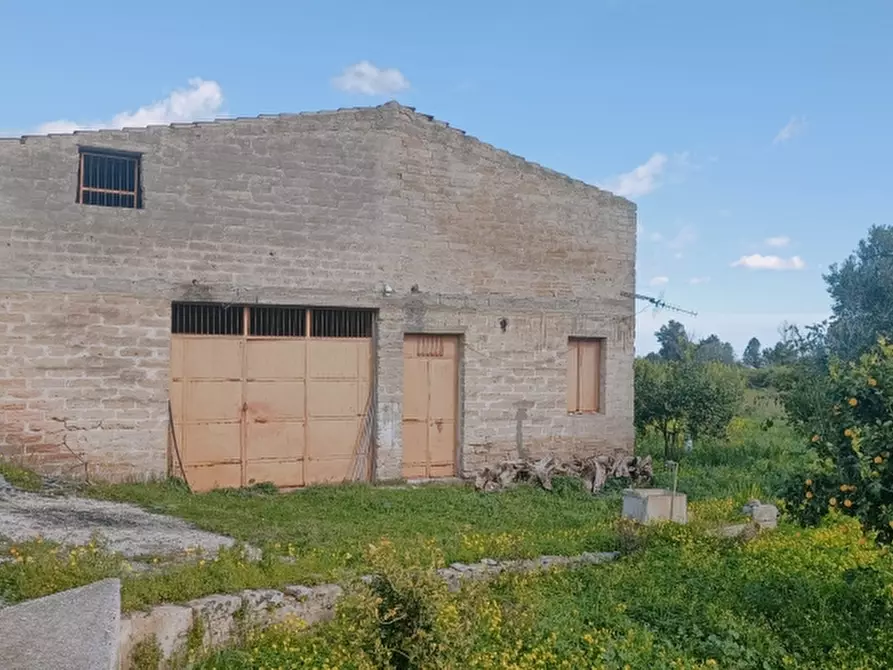 Immagine 2 di Terreno agricolo in vendita  in Contrada Monasteri a Siracusa