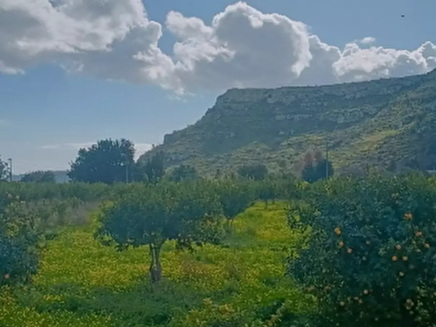 Immagine 8 di Terreno agricolo in vendita  in Contrada Monasteri a Siracusa