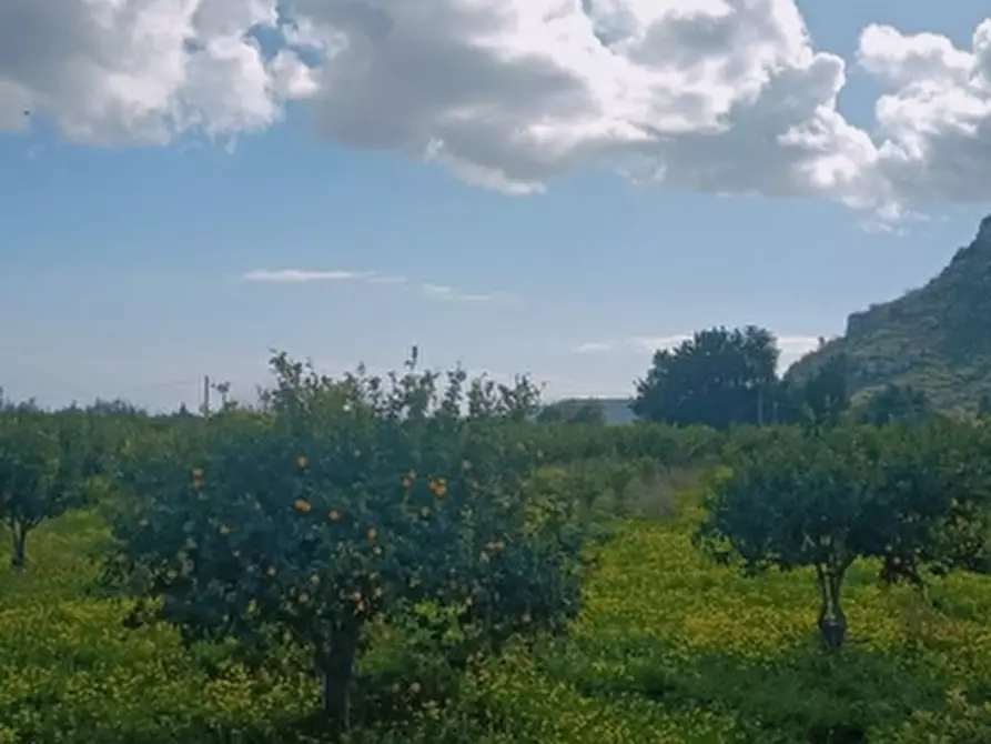 Immagine 9 di Terreno agricolo in vendita  in Contrada Monasteri a Siracusa