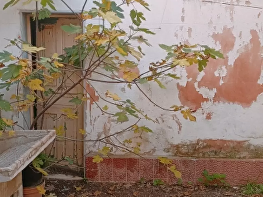 Immagine 5 di Casa indipendente in vendita  in Corso Vittorio Emanuele a Floridia