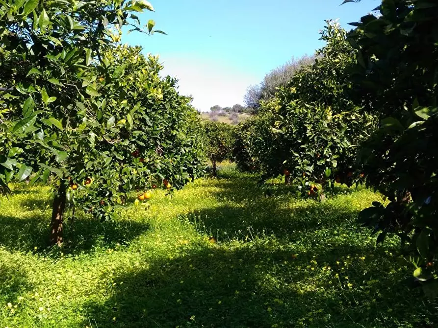 Immagine 1 di Terreno residenziale in vendita  in Traversa ponte di Capocorso a Siracusa