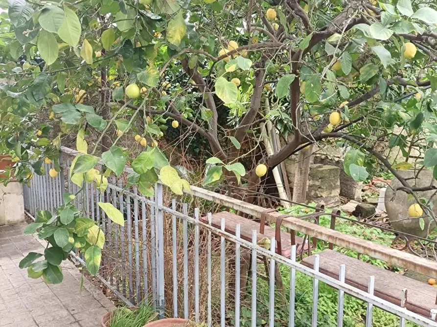 Immagine 13 di Casa indipendente in vendita  a Floridia
