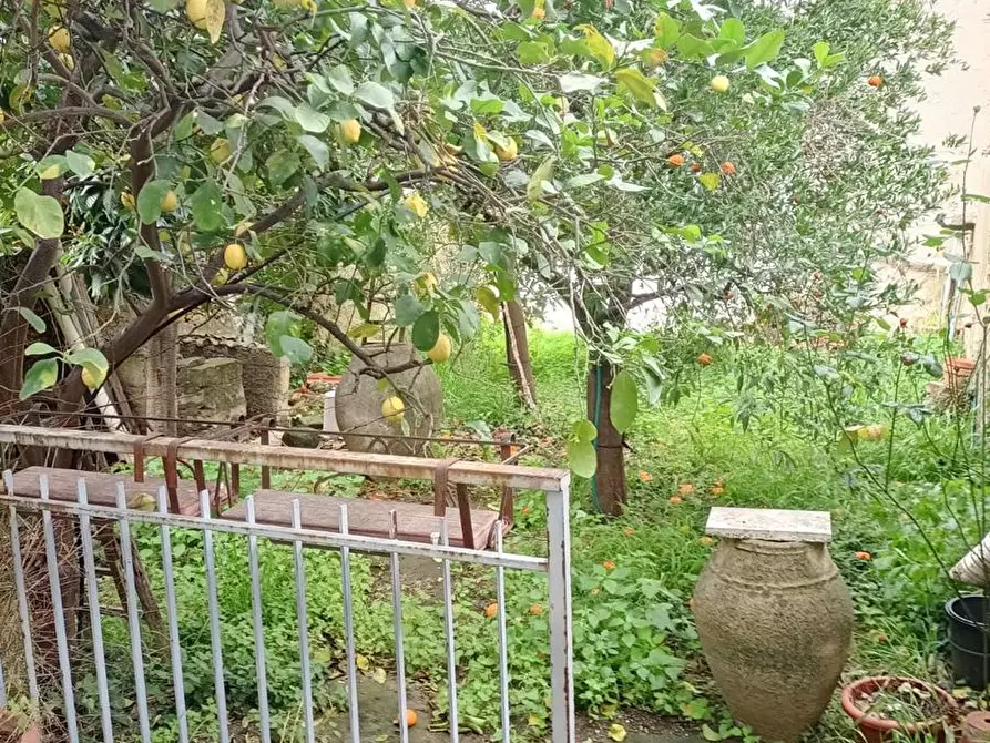 Immagine 14 di Casa indipendente in vendita  a Floridia
