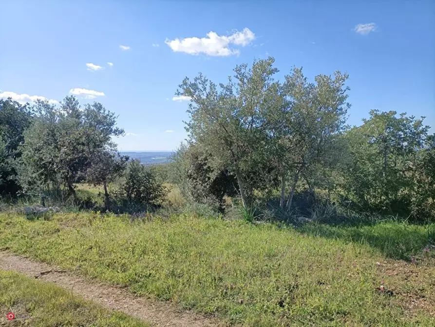 Immagine 6 di Casa indipendente in vendita  a Noto
