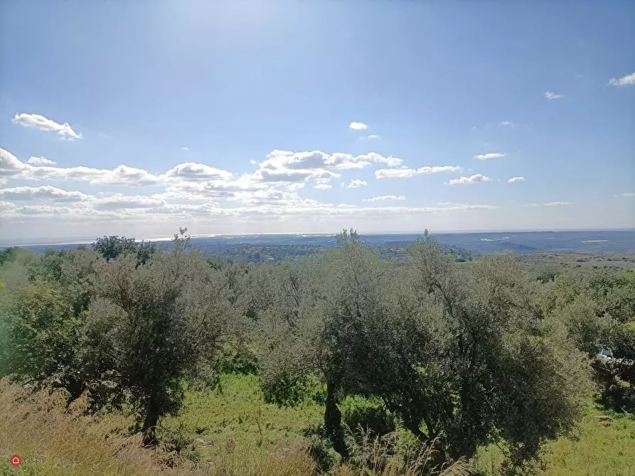 Immagine 9 di Casa indipendente in vendita  a Noto