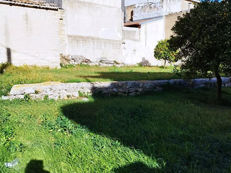 Immagine 3 di Terreno residenziale in vendita  a Solarino