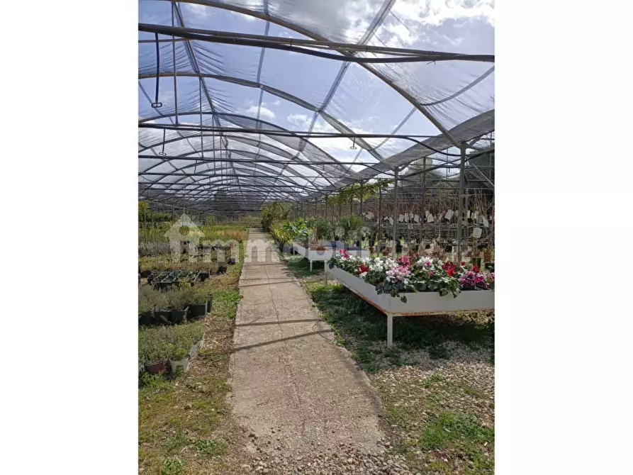 Immagine 3 di Terreno industriale in vendita  in Strada Serra a Siracusa