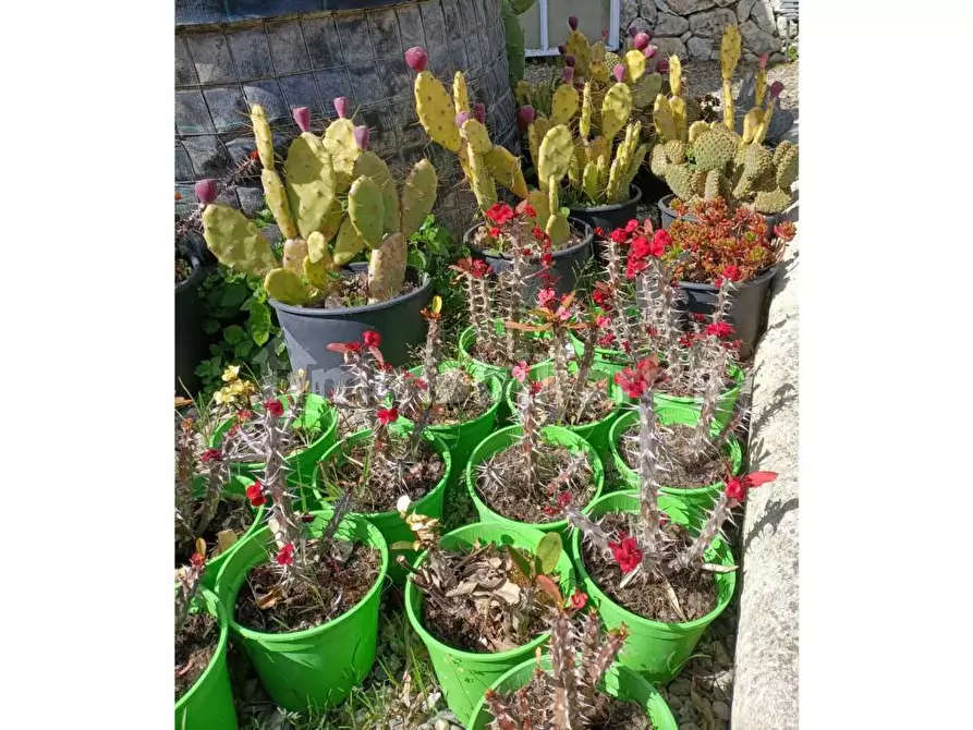 Immagine 6 di Terreno industriale in vendita  in Strada Serra a Siracusa