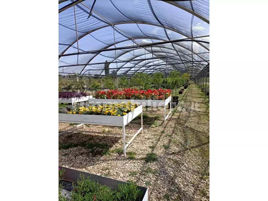 Immagine 7 di Terreno industriale in vendita  in Strada Serra a Siracusa