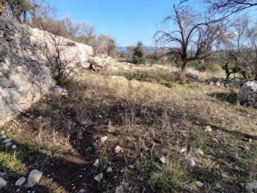 Immagine 4 di Terreno residenziale in vendita  a Floridia