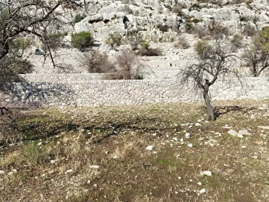 Immagine 9 di Terreno residenziale in vendita  a Floridia