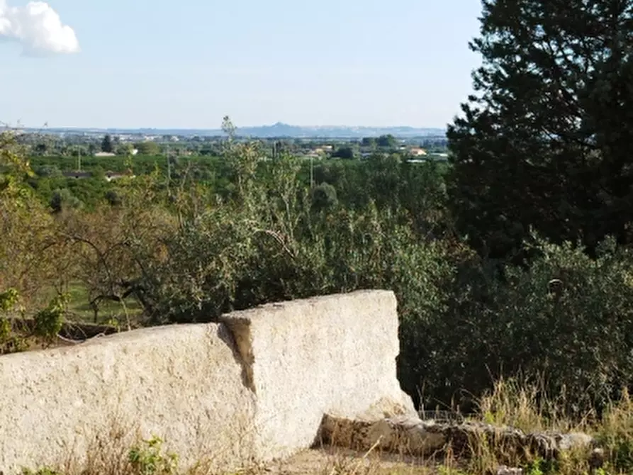 Immagine 10 di Terreno residenziale in vendita  a Floridia