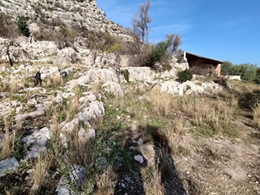 Immagine 13 di Terreno residenziale in vendita  a Floridia