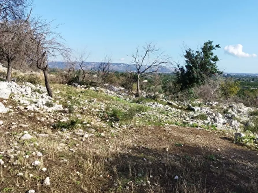 Immagine 15 di Terreno residenziale in vendita  a Floridia