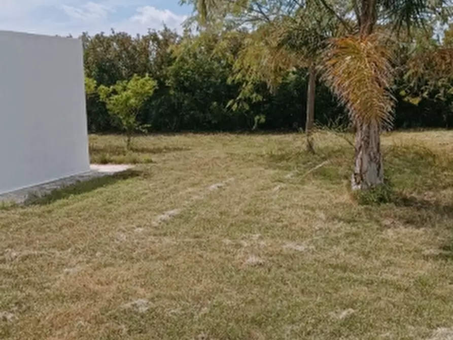 Immagine 4 di Villa in affitto  in Contrada Piccio 1 a Avola