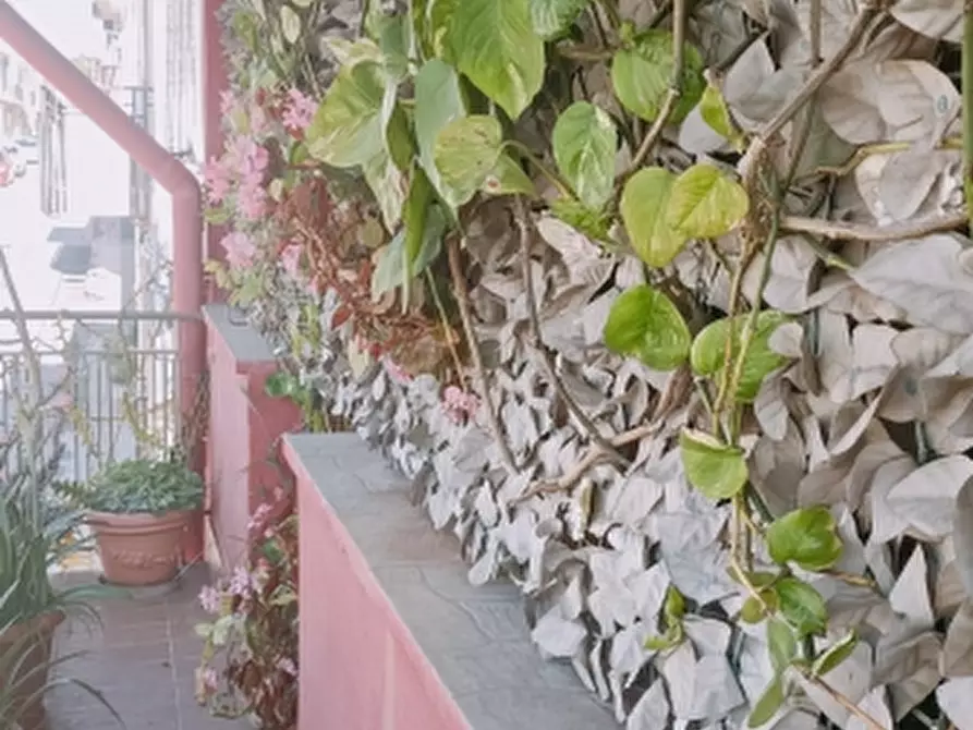 Immagine 20 di Casa indipendente in vendita  in Via Princie Umberto 107 a Solarino