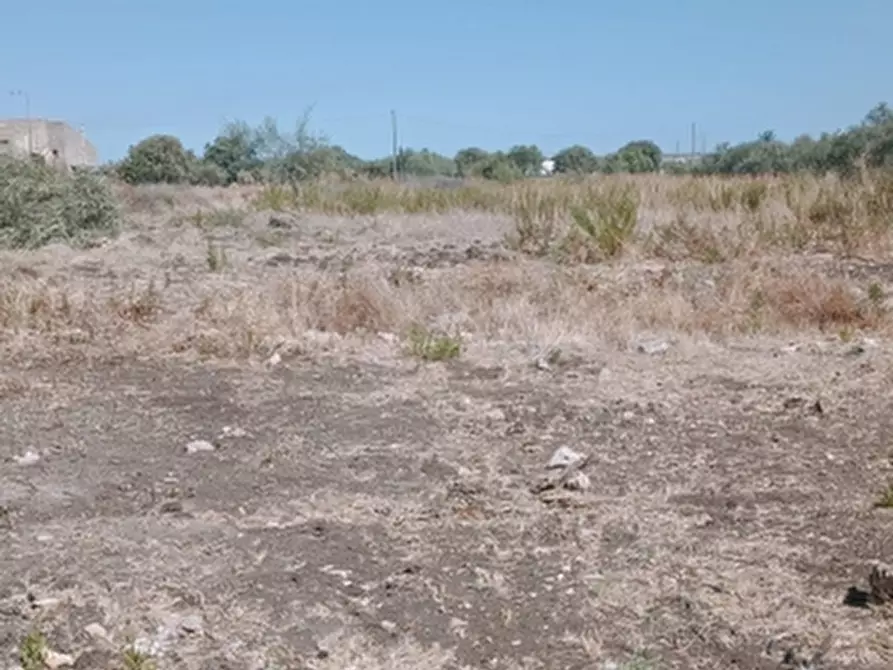 Immagine 3 di Terreno industriale in vendita  in Traversa Cardinale a Floridia