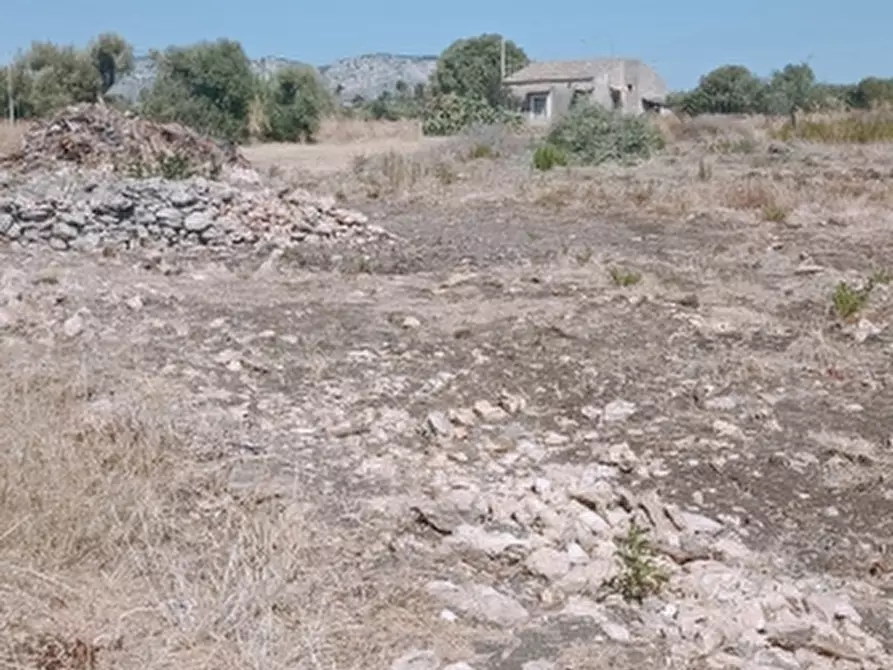 Immagine 4 di Terreno industriale in vendita  in Traversa Cardinale a Floridia