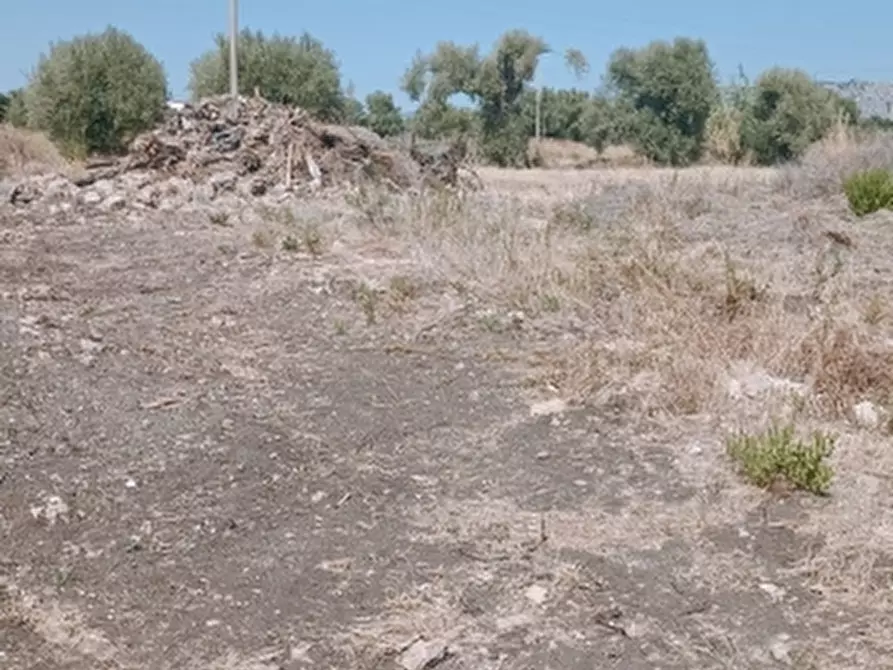 Immagine 5 di Terreno industriale in vendita  in Traversa Cardinale a Floridia