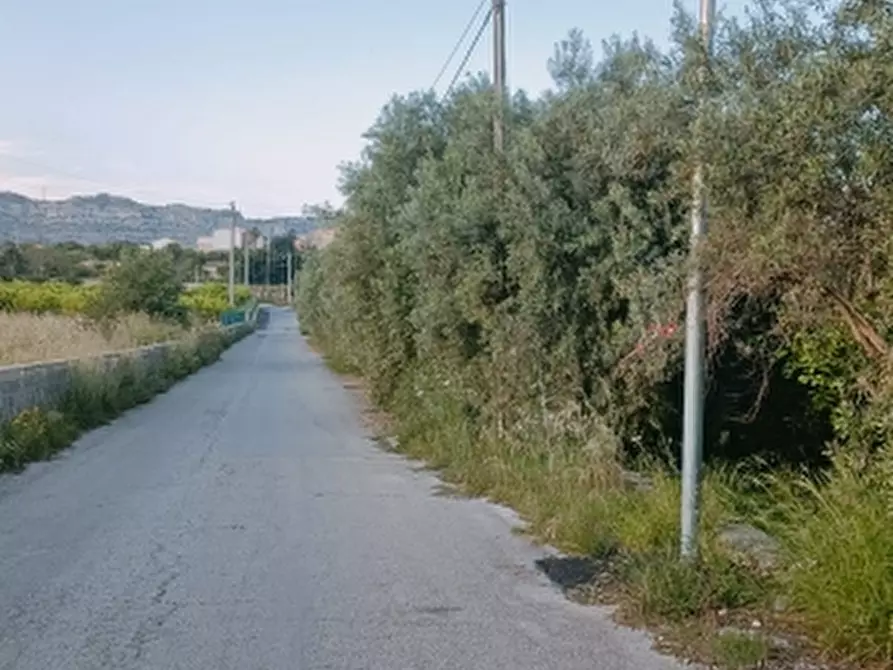 Immagine 4 di Terreno agricolo in vendita  in Contrada Loco Ierna a Floridia