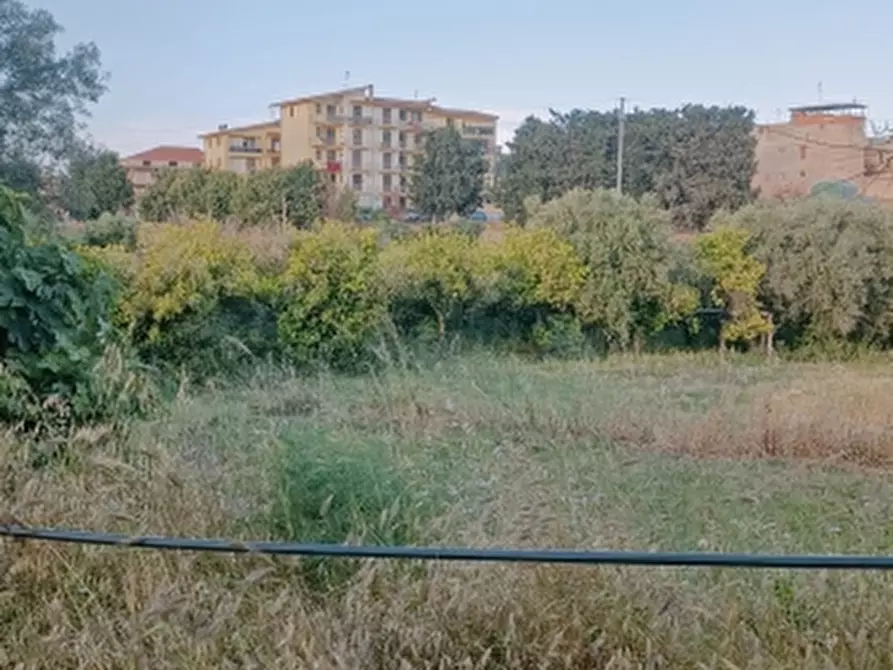Immagine 3 di Terreno agricolo in vendita  in Contrada Loco Ierna a Floridia