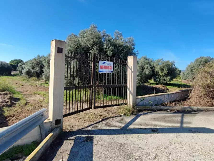 Immagine 1 di Terreno agricolo in vendita  in Strada statale 124 contrada cardinale a Floridia