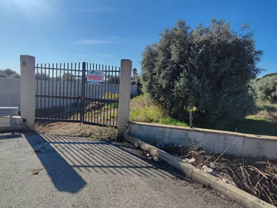 Immagine 2 di Terreno agricolo in vendita  in Strada statale 124 contrada cardinale a Floridia