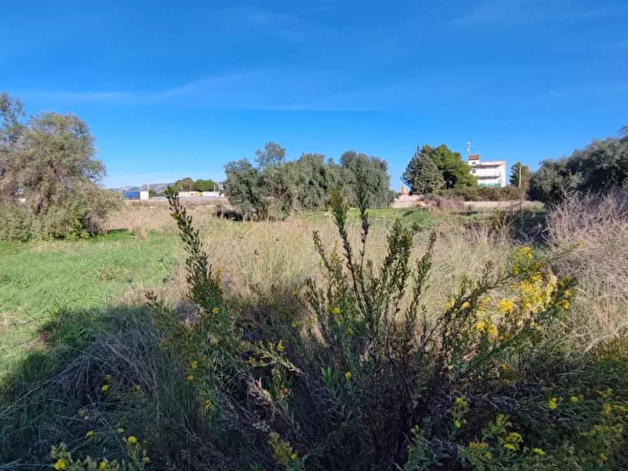 Immagine 3 di Terreno agricolo in vendita  in Strada statale 124 contrada cardinale a Floridia