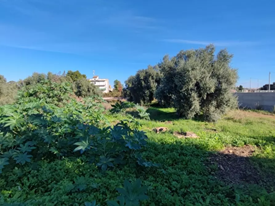 Immagine 4 di Terreno agricolo in vendita  in Strada statale 124 contrada cardinale a Floridia