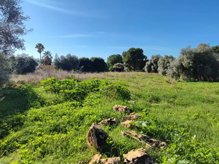 Immagine 7 di Terreno agricolo in vendita  in Strada statale 124 contrada cardinale a Floridia