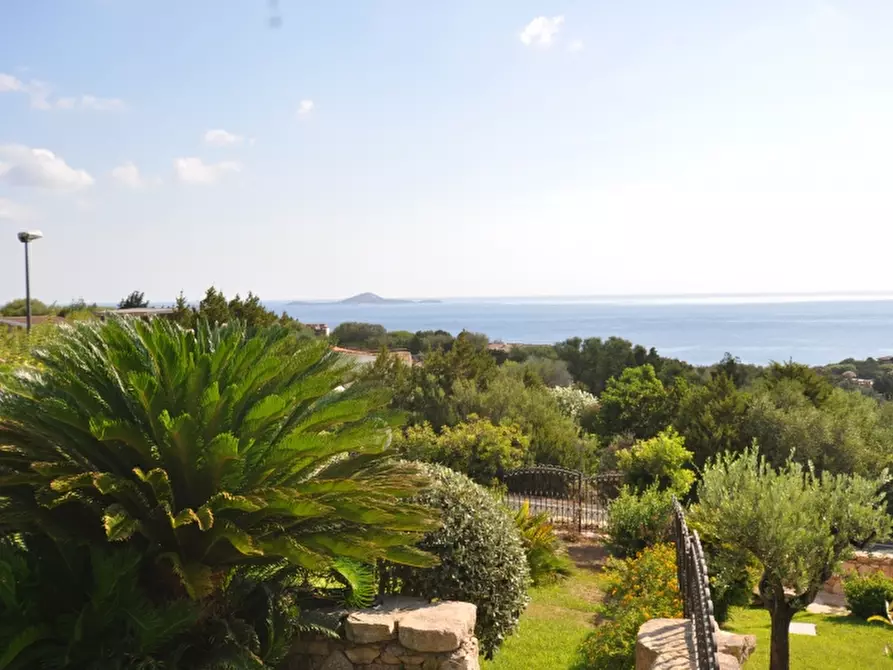 Immagine 5 di Villa in vendita  a Olbia