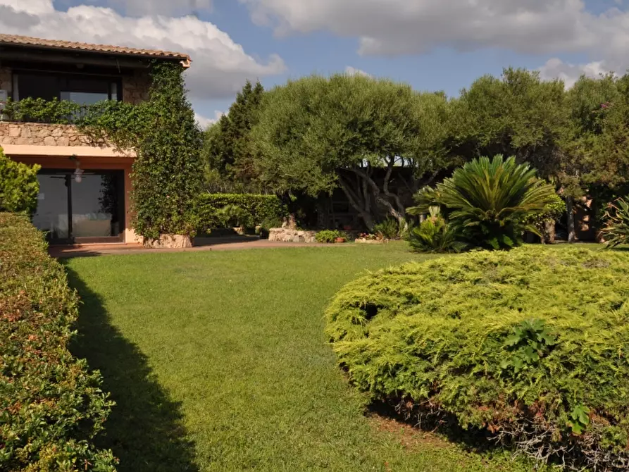 Immagine 6 di Villa in vendita  a Olbia