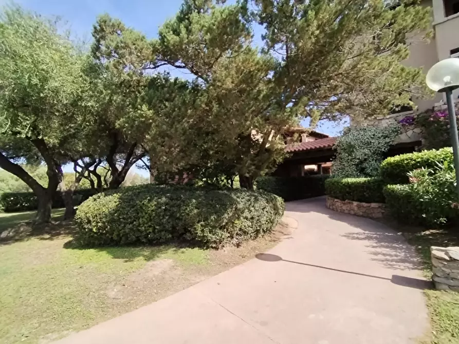 Immagine 11 di Appartamento in vendita  a Olbia