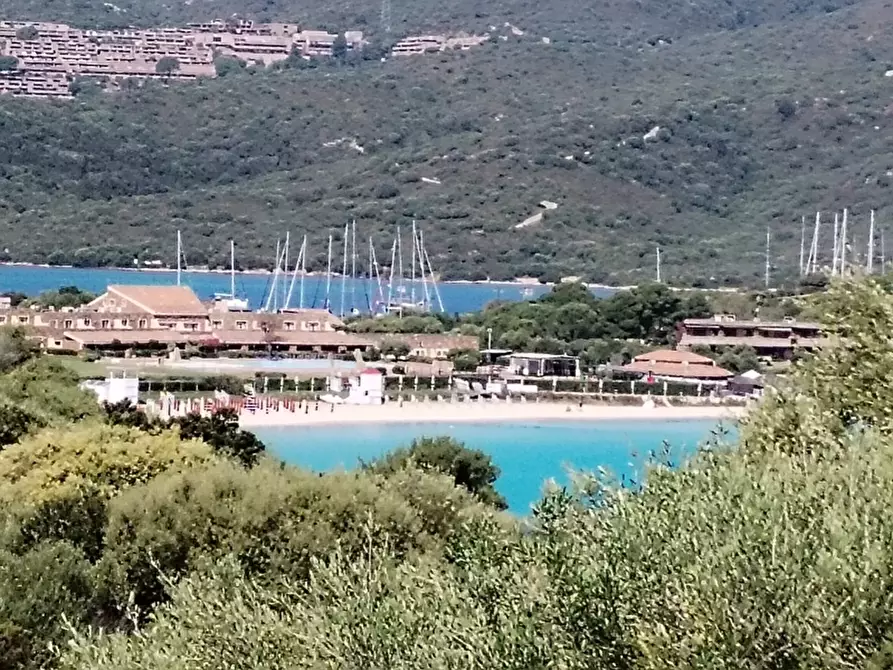 Immagine 3 di Appartamento in vendita  a Olbia