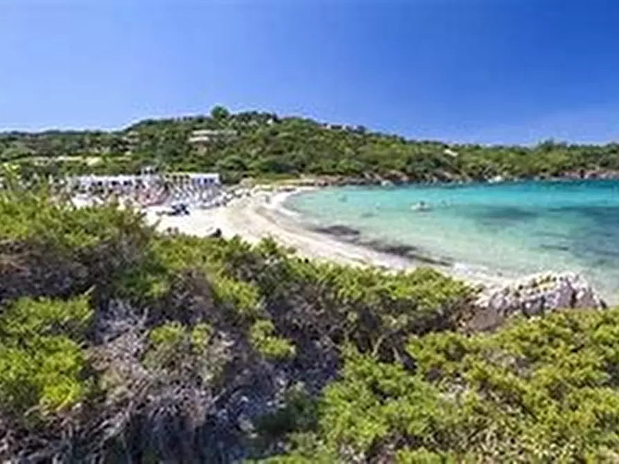 Immagine 36 di Appartamento in vendita  a Olbia