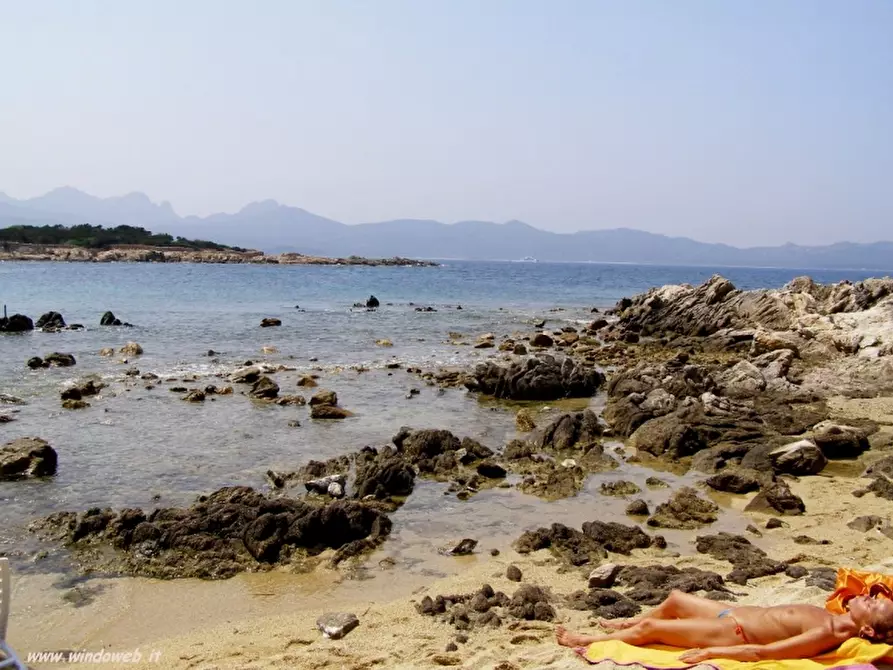 Immagine 16 di Appartamento in vendita  a Olbia