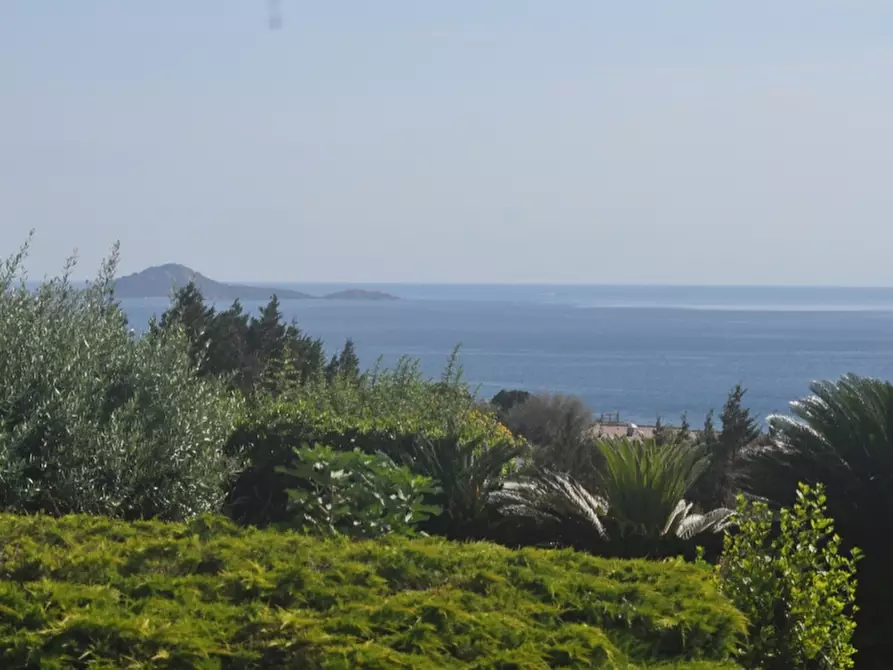 Immagine 33 di Villa in vendita  a Olbia