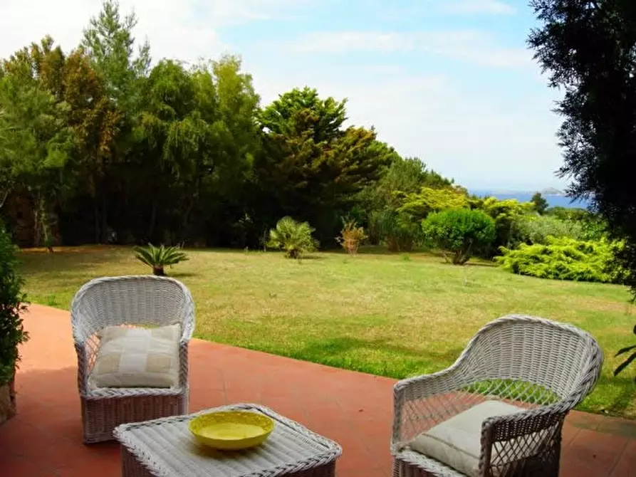 Immagine 22 di Villa in vendita  a Olbia