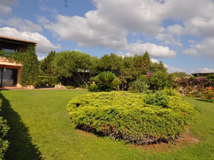 Immagine 32 di Villa in vendita  a Olbia