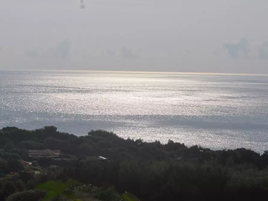 Immagine 2 di Villa in vendita  a Olbia