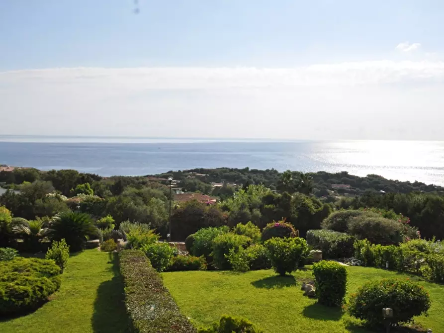 Immagine 3 di Villa in vendita  a Olbia