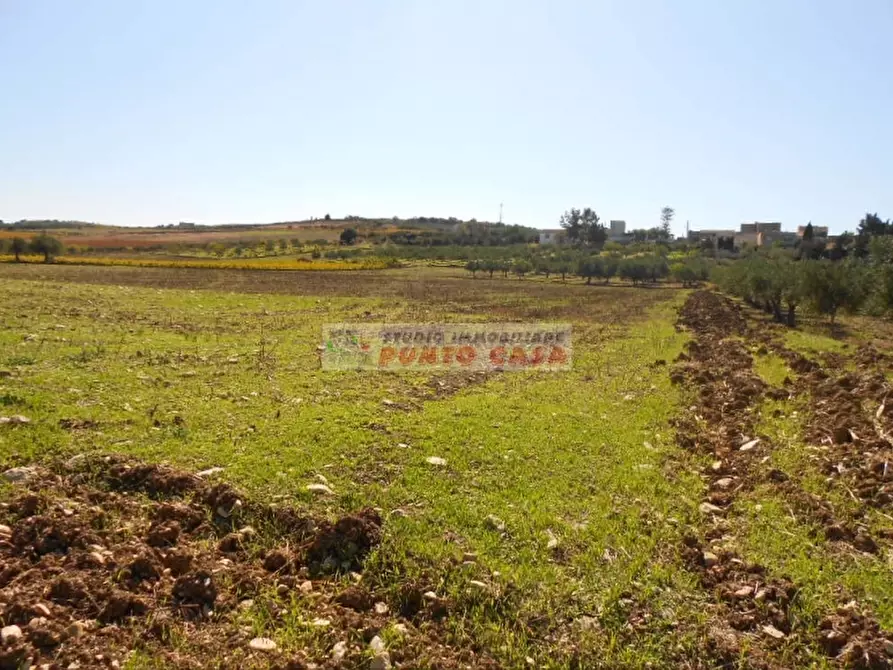 Immagine 2 di Terreno residenziale in vendita  a Valderice