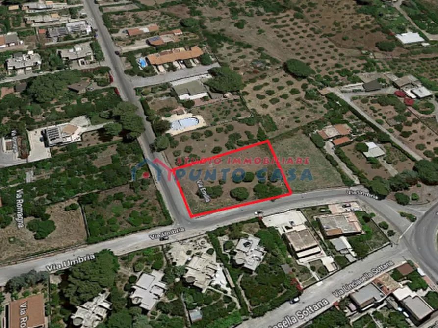 Immagine 2 di Terreno agricolo in vendita  a Valderice