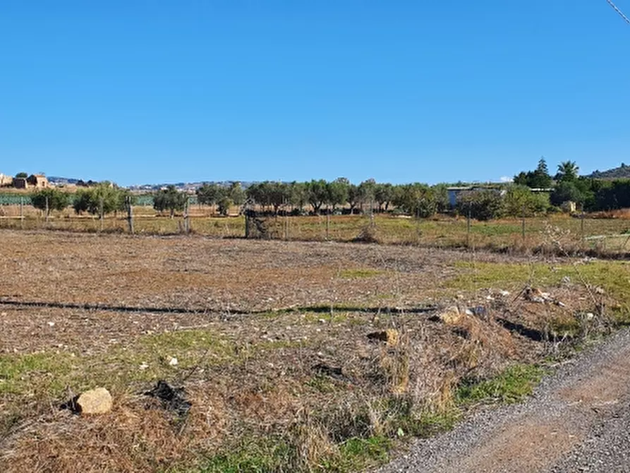 Immagine 2 di Terreno agricolo in vendita  a Trapani