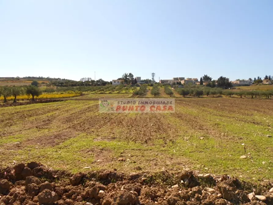 Immagine 3 di Terreno residenziale in vendita  a Valderice