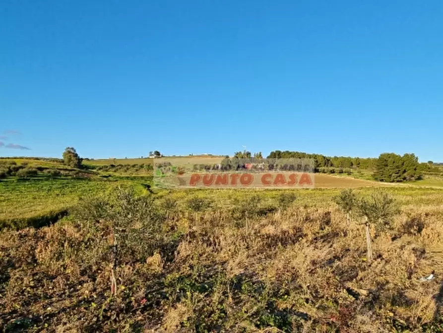 Immagine 3 di Terreno residenziale in vendita  a Erice