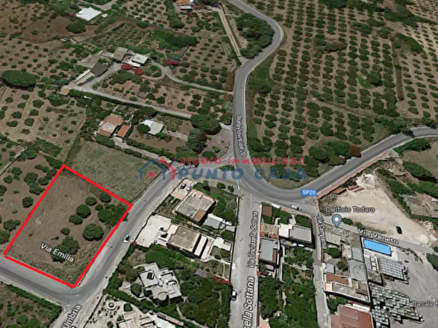 Immagine 3 di Terreno agricolo in vendita  a Valderice