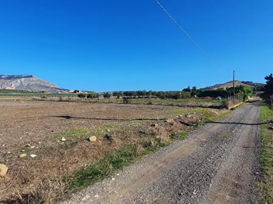 Immagine 3 di Terreno agricolo in vendita  a Trapani