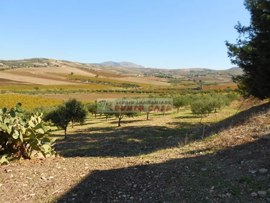 Immagine 4 di Terreno residenziale in vendita  a Valderice